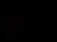 P9230082.JPG
